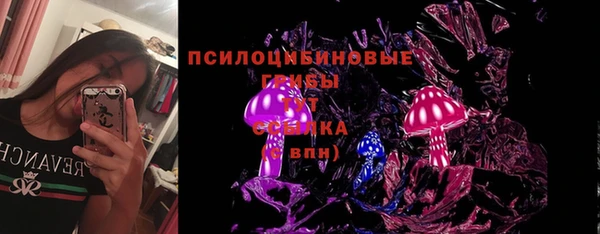 марки lsd Бородино